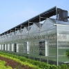 山东温室大棚建设|温室大棚建设价格|淄博温室大棚建设
