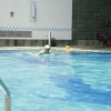 【济南游泳培训】济南游泳培训哪家好，还是心尚好，有责任心哦。