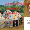 儿童大型游乐设施供应：成都市12岁以下儿童使用游戏城堡