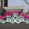 规模大的铁艺花架供应商倾情推荐