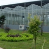 南平温室大棚蔬菜大棚玻璃温室公司