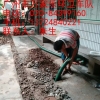 广州市越秀区沿江西路清理化粪池机械疏通厕所电话价格从优