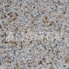 福建G682|高质量的花岗岩，厂家火热供应