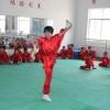 东营武术 东营武术培训 东营武术学校