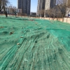 供应北京3针防晒网隔热网屋顶阳台大棚花卉遮阴防尘盖土网