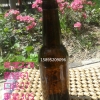 江苏高质量的啤酒瓶厂家专业报价_个性棕色玻璃瓶