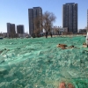 厂家生产销售3针屋顶 防尘网，工地盖土网