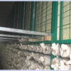 邢台蘑菇网片——大量供应热卖蘑菇网片
