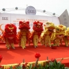 广州醒狮队 专业舞狮队 开业醒狮队