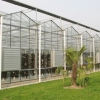 新型智能温室建设【建造、承建、工程、公司】