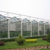 山东北方温室大棚建造哪家信誉好：建造北方温室大棚