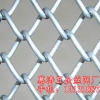 日照pvc勾花网，价位合理的pvc勾花网哪里买