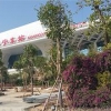 南宁东站广场绿化设计：权威的南宁园林绿化工程哪里有
