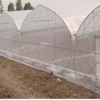 【 蔬菜大棚膜】【蔬菜大棚膜价格】