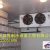 番禺冷库安装公司（推荐）专业的定做安装设计冷库的广州晶雪制冷