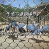 鸟笼舍规划建设