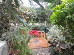 生态餐厅建设_淄博生态餐厅建设_生态餐厅建设厂家图1