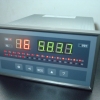 XSL16-AHV0温度巡检仪