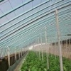 寿光蔬菜大棚立柱、蔬菜大棚立柱哪家好、蔬菜大棚立柱价格