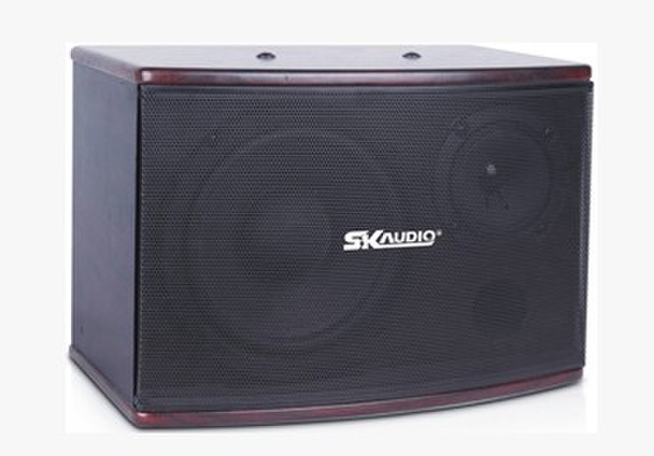 SK-AUDIO SK专业音箱 HY605娱乐音箱 卡包音箱