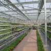 育苗温室工程建设||山东育苗温室工程【淄博嘉润农业】