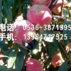 映霜红桃树苗【抢过瘾了吗】映霜红桃树苗基地、出售