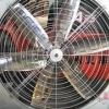 【山东屋顶通风机最新报价】【屋顶通风机批发】惠民