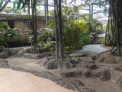 生态餐厅建设_生态餐厅搭建_生态餐厅_生态餐厅搭建图1