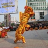 南海醒狮队 专业开业醒狮队