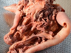 【有滋有味每一天!】五香牛头肉【不注水牛头肉】生牛头肉价格图1