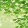 医疗器皿/玻璃管等医疗器械激光刻字刻logo镭射雕刻代加工