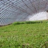 青州草莓温室大棚 蔬菜温室大棚 智能温室建设