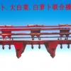 小型播种机供应商，供应山东热销小型播种机