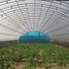 山东蔬菜大棚膜||蔬菜大棚膜供货商||蔬菜大棚膜哪家好