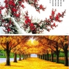 冰晶画加盟|低价出售冰晶画设备|免费培训技术