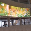 青岛室内led全彩屏定制专家|翔里全彩屏优质生产厂家欢迎您！