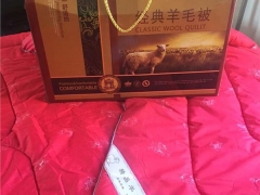 益尔康专业批发各种天津厂家直销高档会销礼品羊毛被图1