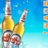 山东清源珠江啤酒特卖与【大爷怕忘记密码把钱埋地下变成粉末】