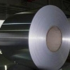 好用的铝板彩涂板生产厂家——滨州提供专业的铝板彩涂板