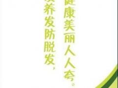 乌发生发养发防脱发！ 首选金谛王子！图1