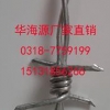 铁路刺丝滚笼专用纵向拉筋 刺绳 铁蒺藜