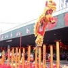 广州开业醒狮队 专业舞龙队 大量醒狮队
