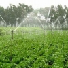 邢台草坪喷灌喷灌系统种类 图片说明