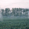 节约水资源、技术专业草坪/绿地喷灌尽在河北润田