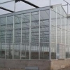【玻璃温室大棚】新疆玻璃温室大棚||山东玻璃温室大棚