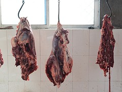 【驴肉批发】哪家好?青州驴肉批发【驴肉批发价格】五香驴肉批发图1