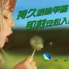 武汉除甲醛公司哪家好——武汉鹰拓口碑好的武汉空气治理推荐