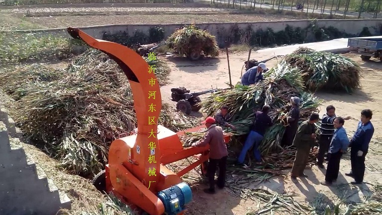 铡草机铡草机一个神奇的养殖神器