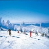 河北附近的滑雪场有哪些，石家庄好玩的滑雪场 【爱情山滑雪场】