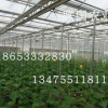 连栋生态餐厅建设_蔬菜温室大棚建造_花卉温室大棚建造